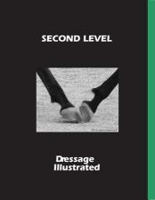 DI Second-Level-L_large